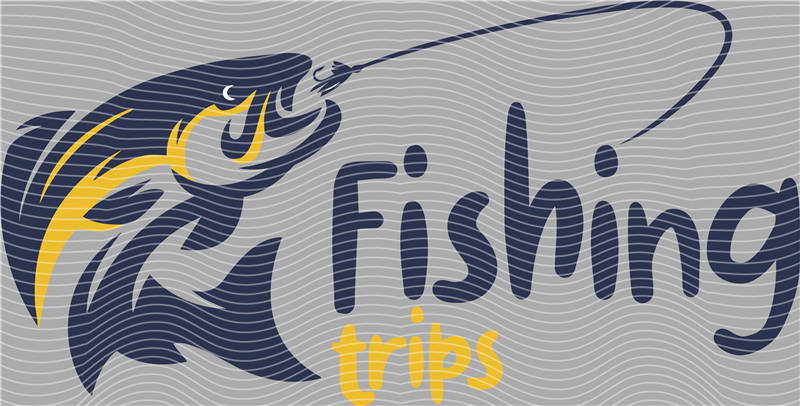 Fishing Series-DY 201